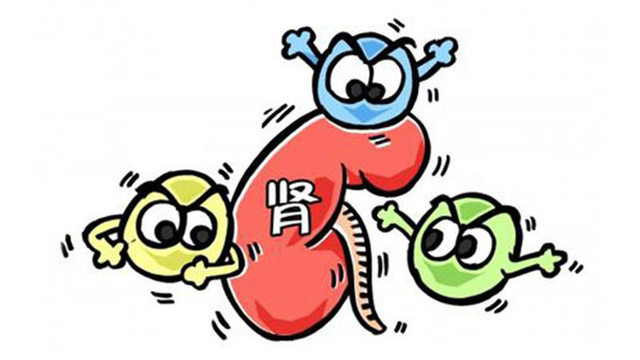 知道日报手机版(知道日报手机版app)